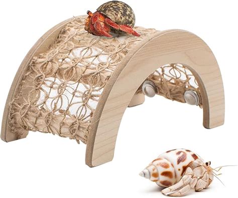 Hermit Crab Climbing Toys: A Comprehensive Guide to Providing Enrichment and Exercise for Your Pet