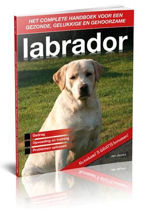 Het-complete-handboek-voor-een-gezonde-gelukkige-en-gehoorzame-labrador Ebook Kindle Editon