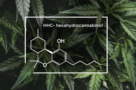 Hexahydrocannabinol (HHC) vs. Tetrahydrocannabinol (THC): A Comprehensive Comparison