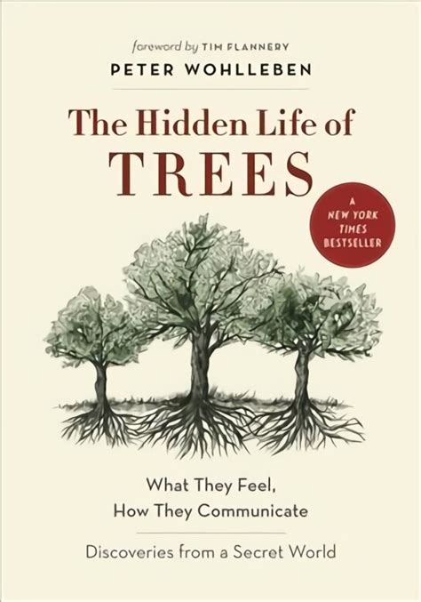 Hidden Life Trees CommunicateÂ—Discoveries Secret Epub