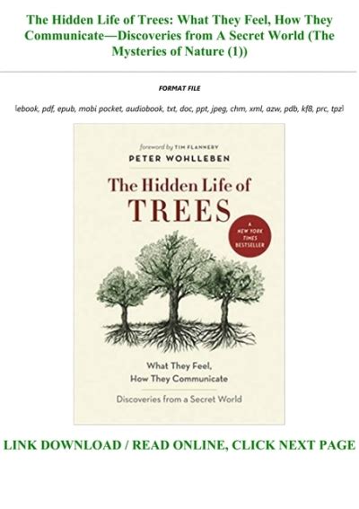 Hidden Life Trees CommunicateÂ—Discoveries Secret Epub