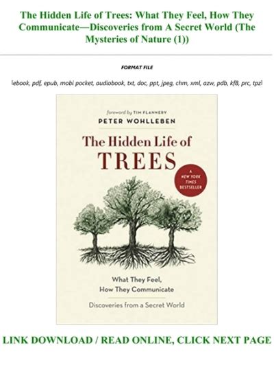 Hidden Life Trees CommunicateÂ—Discoveries Secret Epub