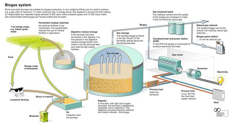 High Biogas Production: