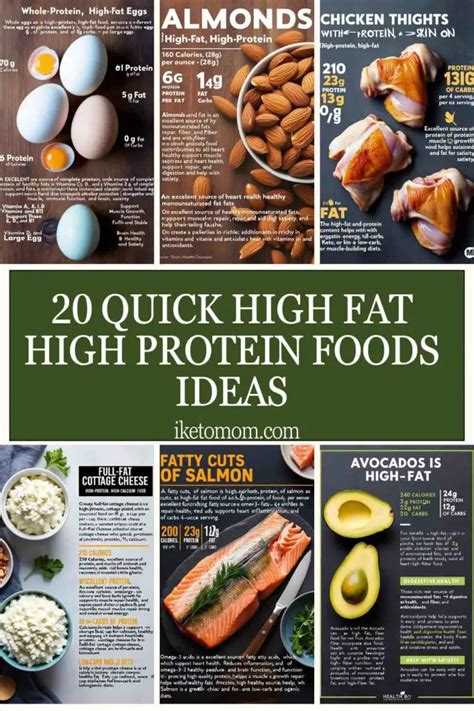 High Fat + High Protein Foods: The Ultimate Showdown