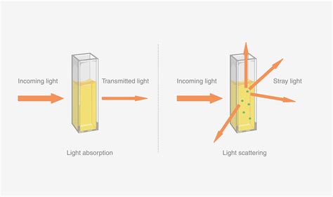 High Light Transmittance: