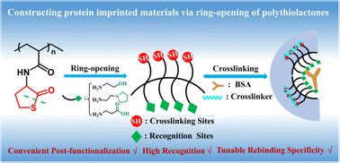 High Recognition Factor: