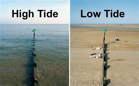 High Tide PDF