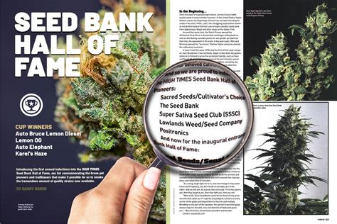 High Times Seed Bank of the Year (2020)