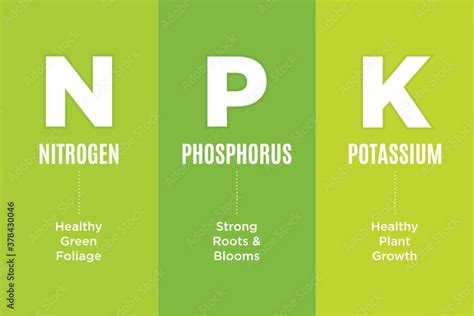 High in nitrogen, phosphorus, and potassium: