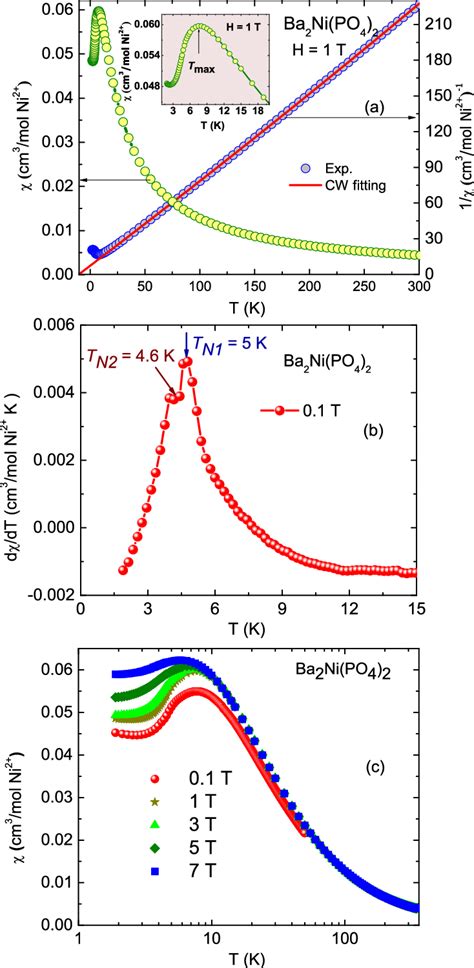 High magnetic susceptibility: