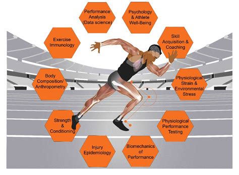 High-Performance Training for Sports Reader