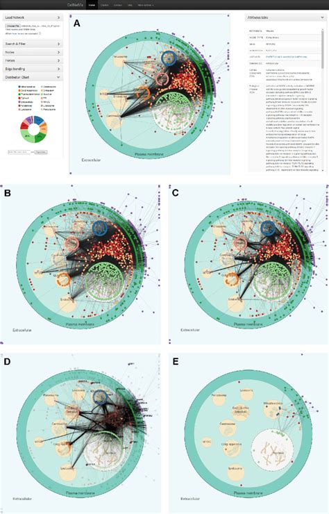 High-Throughput Network: