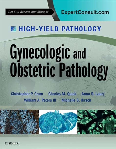 High-yield Pathology Kindle Editon