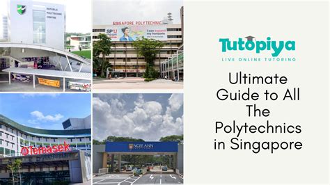 Higher Education in Singapore: Navigating ITE, Polytechnics, and Universities