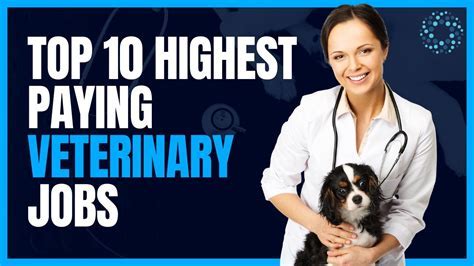 Highest Paying Veterinary Careers: A Comprehensive Guide to Financial Success