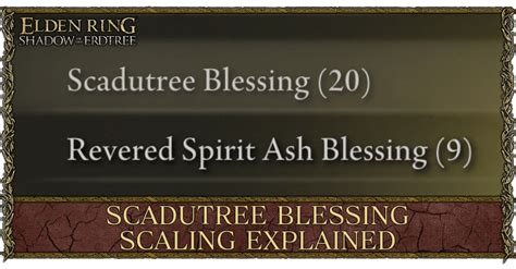 Highest Scadutree Blessing Level 30000: Unlocking Divine Abundance