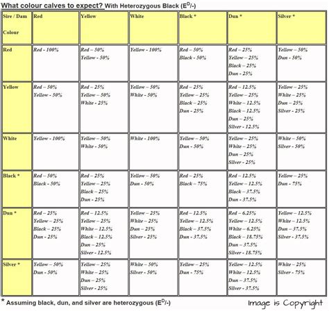 Highland Cattle Color Chart