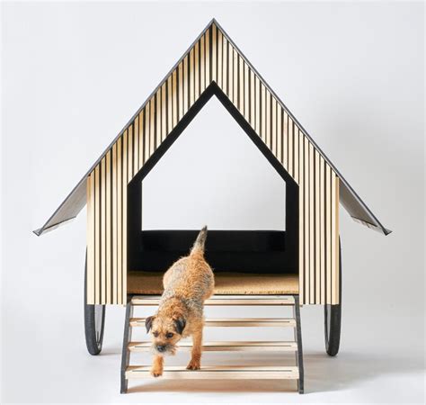 Highlights of The Farmer's Dog Pet-Friendly Design & Materials