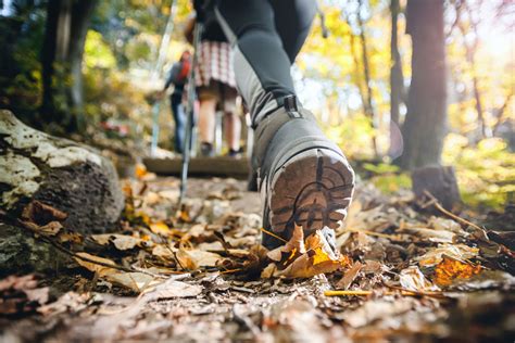 Hiking in Jersey: 10,000 Steps to a Scenic Adventure