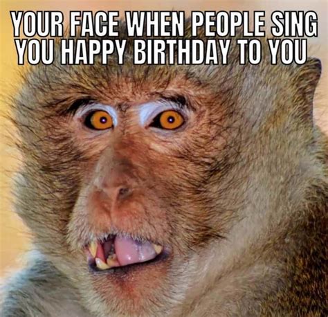 Hilarious and Unforgettable: A Collection of Funny Happy Birthday Images