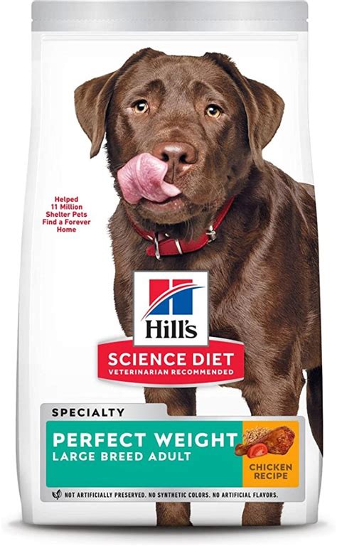 Hills Adult Large Breed: Nourishing Giants with Precision Nutrition