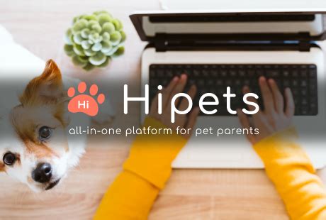 Hipets: Empowering Pet Owners with Knowledge and Care