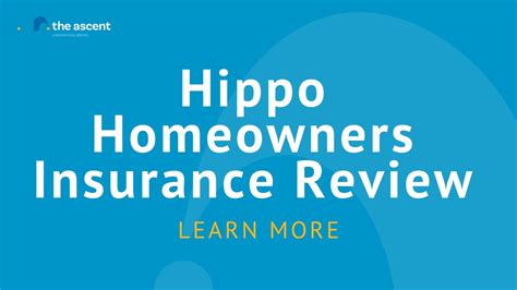 Hippo Home Insurance Reviews: 2023 Guide