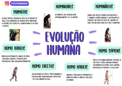 Histórico e evolução