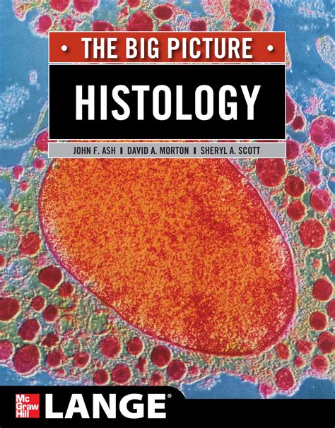 Histology The Big Picture LANGE The Big Picture Doc