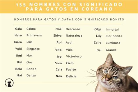 Historia y Significado de los Nombres Hispanos para Gatos