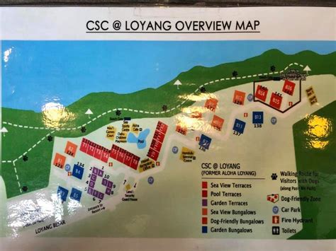 Historical Beginnings: Aloha Loyang