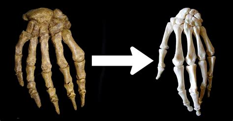 Historical Evolution: From Sun to Second Hands