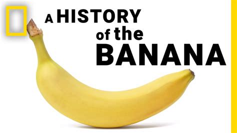 Historical Evolution of the Banana Clip