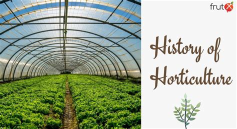 Historical Legacy and Horticultural Significance