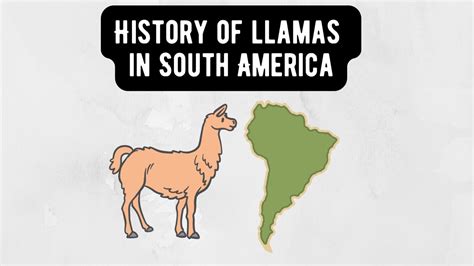 Historical Llama-nce: A Journey through Llama Shirt Evolution