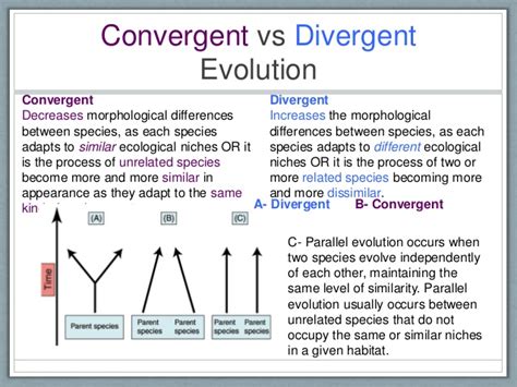 Historical Parallels and Divergences