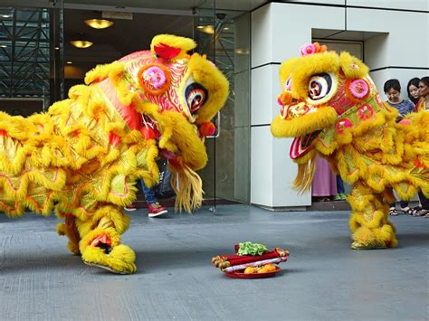 Historical Roots: Tracing the Legacy of the Lion Dance