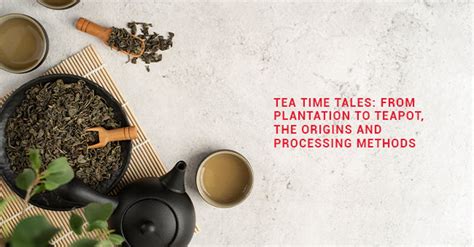 Historical Roots of Tea in Singapore