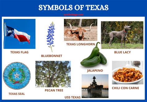 Historical Significance: A Symbol of Texas Heritage