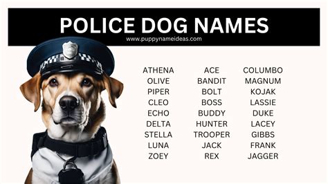 Historical Significance of Police Dog Names