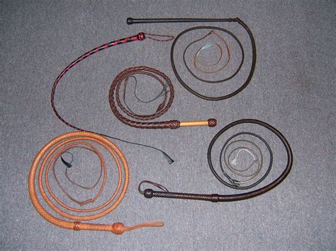 Historical Significance of Whips