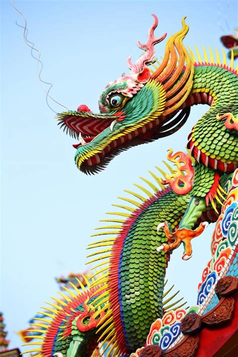 Historical and Cultural Roots of the Asia Dragon