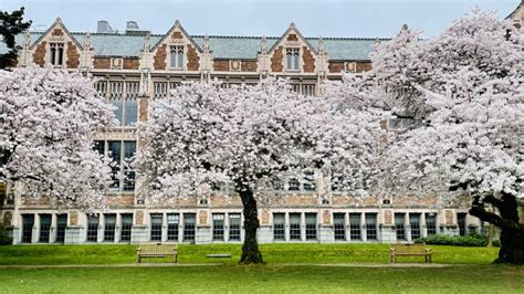 Historically Black Colleges in Louisiana: A Legacy of Education and Empowerment