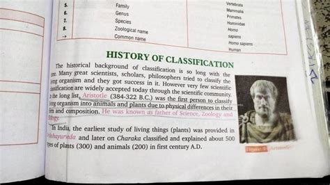 History and Classification