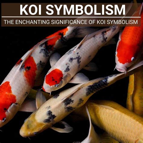 History and Cultural Significance of Koi Fish