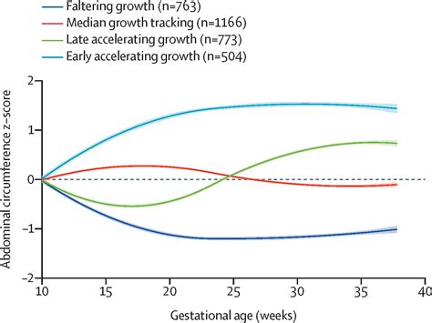 History and Growth Trajectory: