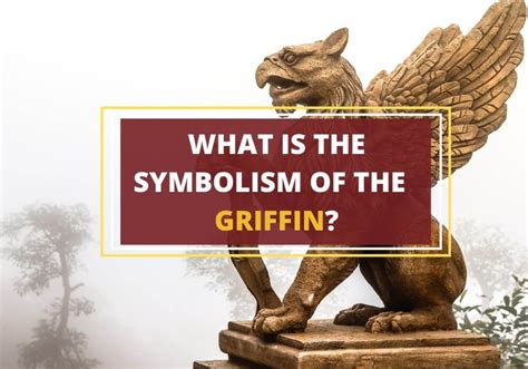 History and Origin of the Griffin Jersey