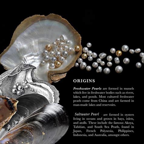 History and Origins of Pearls