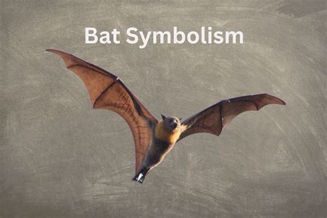 History and Symbolism of Leather Bats