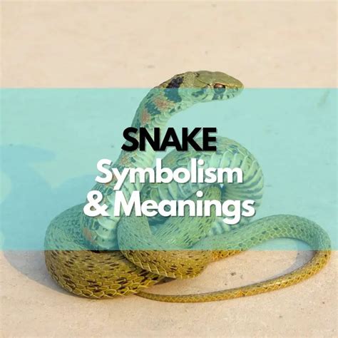 History and Symbolism of Snake Costumes